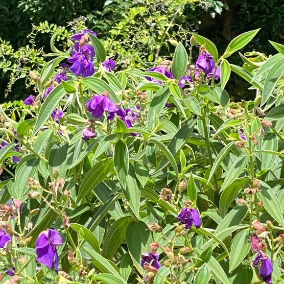 Meet your Posher, Mallory - Picture 1 of 1